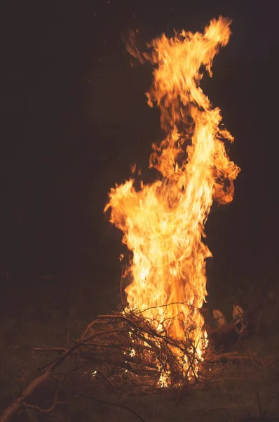 Evening Bonfire Sparks Close Dense Forests Russia Hiking Camping — Stock Photo, Image