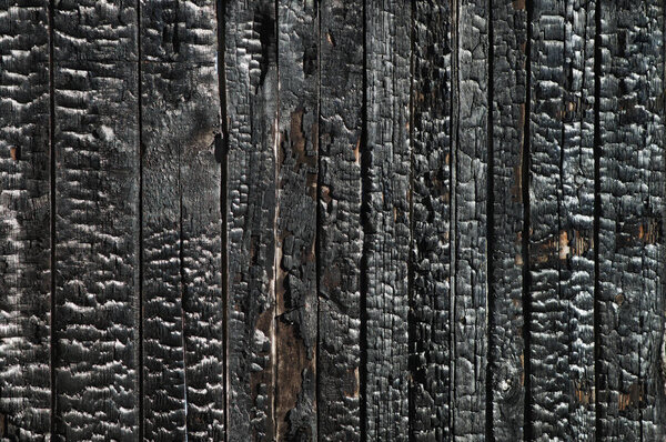 Black coal texture of the scorched wooden boards of the walls of the house. Ruined house building after a fire.