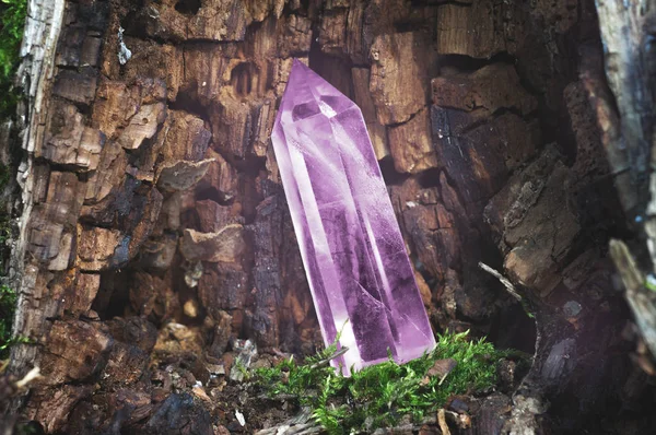 Parfait grand cristal brillant lilas améthyste de couleur transparente quartz naturel à la lumière du soleil sur fond souche gros plan — Photo