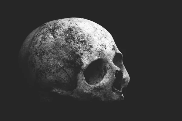 Real old human skull on a black background cranium close up — Stock Photo, Image