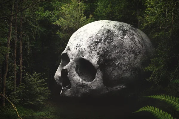 Real old human skull on a dark gloom forest background. Cranium close up