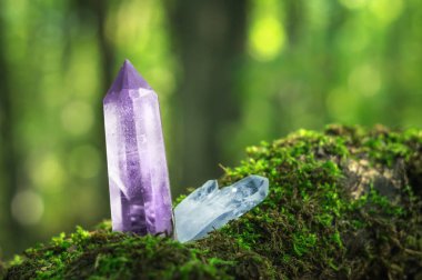 Large violet lilac quartz crystal on the background of autumn moss and foliage. Beautiful gem chalcedony in sunshine clipart