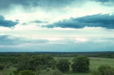 Büyük mavi bulutlu gökyüzünün altındaki bahar otlaklarının havadan görünüşü