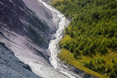 Çayırla orman arasındaki dağ nehri.