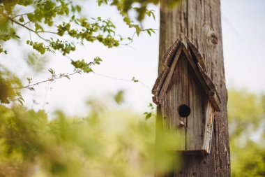 Ağaçta asılı bir ahşap iç içe kutu.