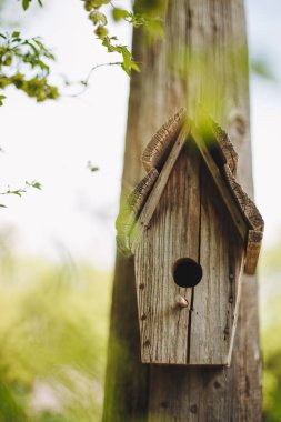 Ağaçta asılı bir ahşap iç içe kutu.