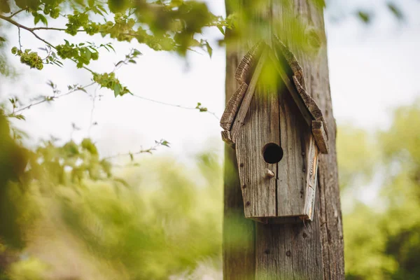 Una scatola di nidificazione di legno appesa ad un albero . — Foto Stock