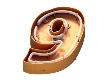 Motel neon yazı tipi. 