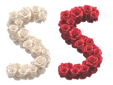 Kırmızı ve Beyaz gül yazı tipi.