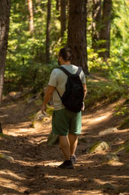 Sırt çantalı bir adam güneş lekeli orman yolunda kameradan uzaklaşıyor. Doğada barışçıl bir yürüyüşün tadını çıkarıyor..