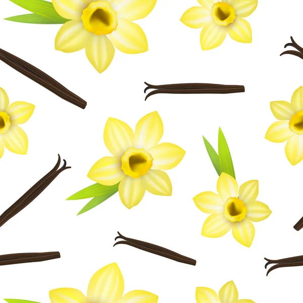 Трехмерный цветок ванили и стручки без запаха. Вектор — стоковый вектор