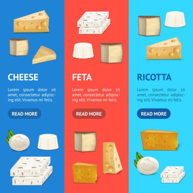 Gerçekçi detaylı 3d peynir Vecrtical Set afiş. Vektör