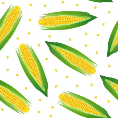 Gerçekçi detaylı 3d Corncobs sarı Mısır Dikişsiz desen arka plan ile. Vektör