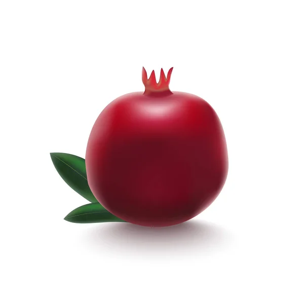 Realistic Detailed 3d Whole Pomegranate with Half Vector — Stock Vector