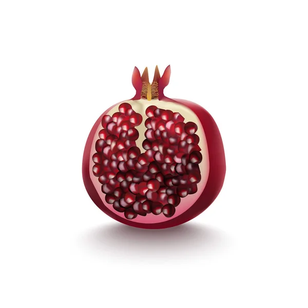 Realistic Detailed 3d Pomegranate Half Vector — Stock Vector