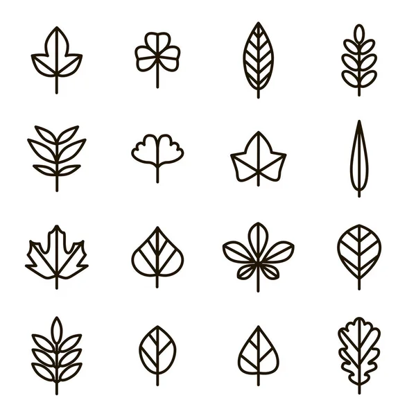 Leaf Signs Set de iconos de línea delgada negra. Vector — Vector de stock