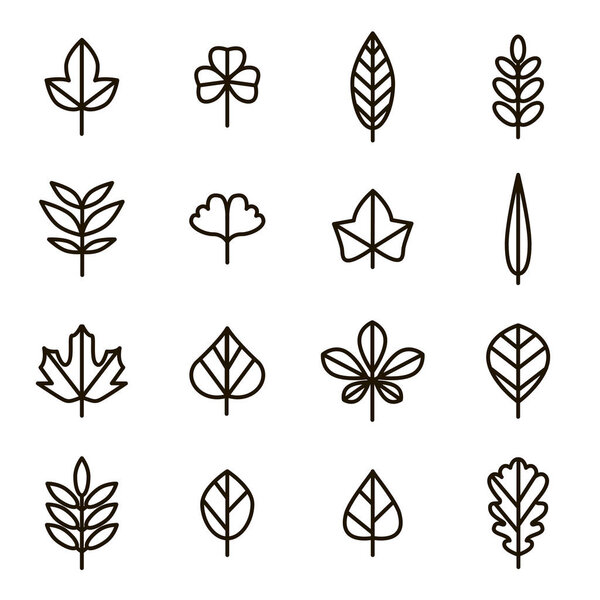 Leaf Signs Black Thin Line Icon Set. Vector