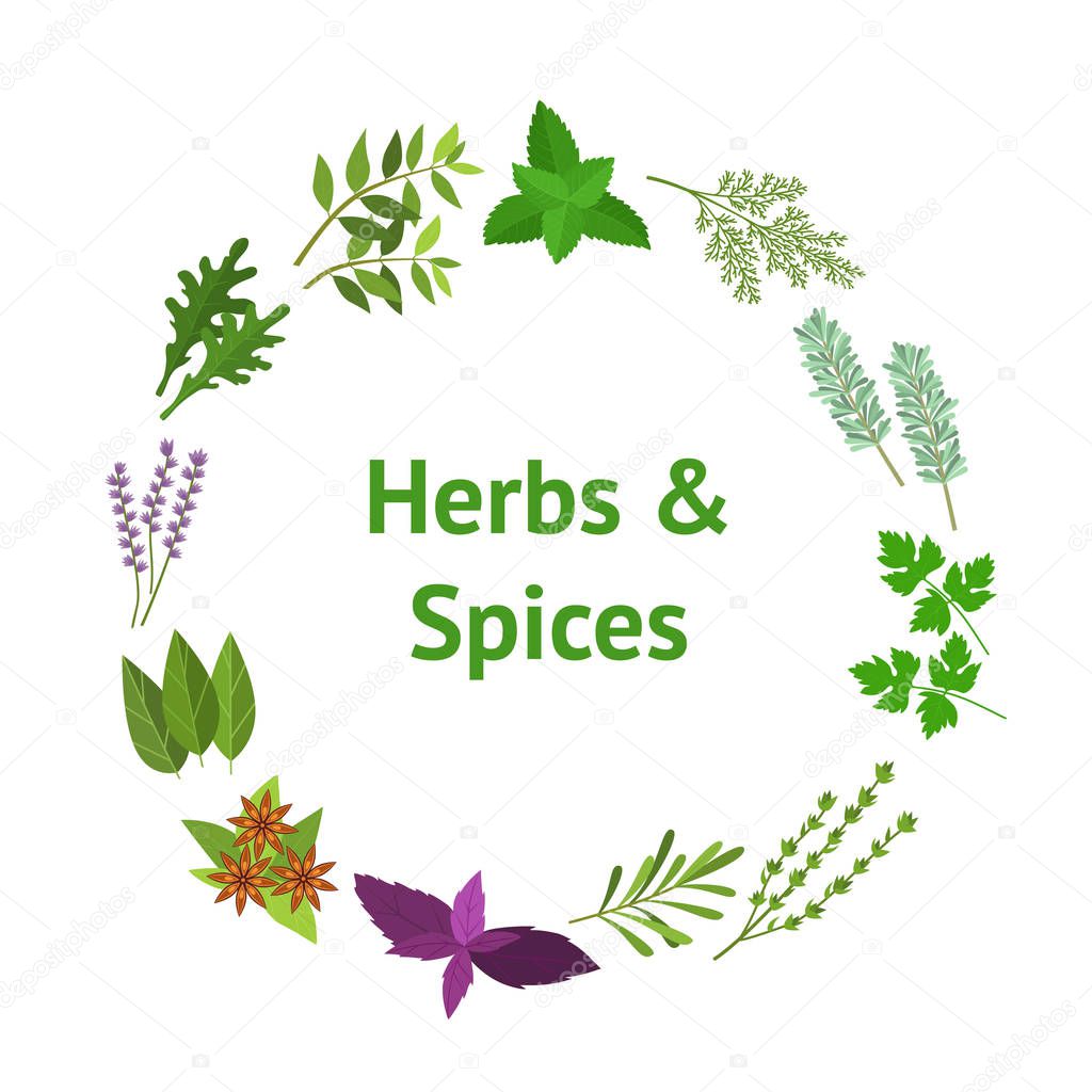 Cartoon Color Herbs Spices Banner Card Circle . Vector