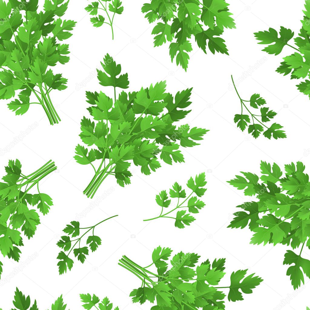 Realistic Detailed 3d Green Raw Parsley Seamless Pattern Background. Vector