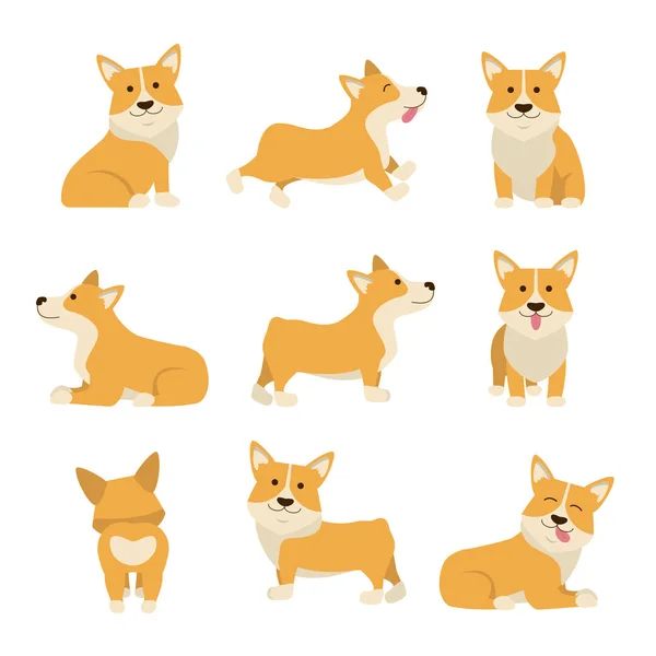 Cartoon karaktereket Welsh Corgi készlet. Vektor — Stock Vector