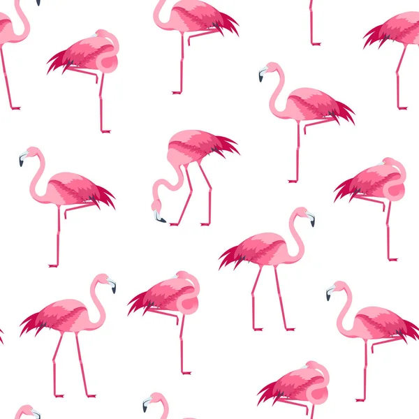 Cartoon Pink Flamingo Bird Padrão sem costura Fundo. Vetor — Vetor de Stock