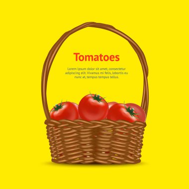 Kırmızı olgun domates kartı vektör ile gerçekçi detaylı 3d sepeti