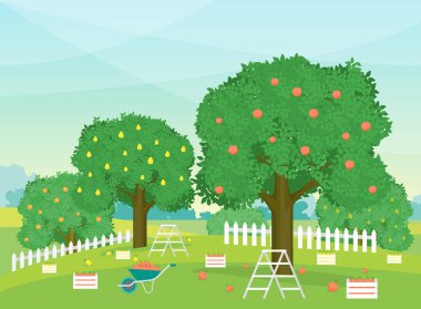 Çizgi film sonbahar kırsal Bahçe açık sahne. Vektör