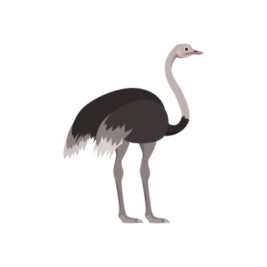 Çizgi film devekuşu uzun boyunlu kuş. Vektör