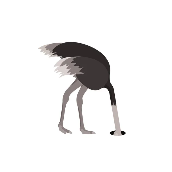 Desenhos animados Avestruz Pássaro Sentindo Medo Projeto Plano. Vetor — Vetor de Stock