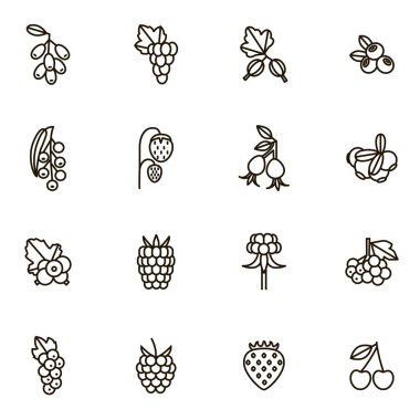 Çilek işaretleri siyah ince çizgi Icon Set. Vektör