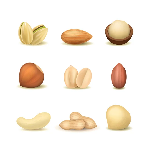 Realistic Detailed 3d Different Types Nuts Set. Vector — Stock Vector