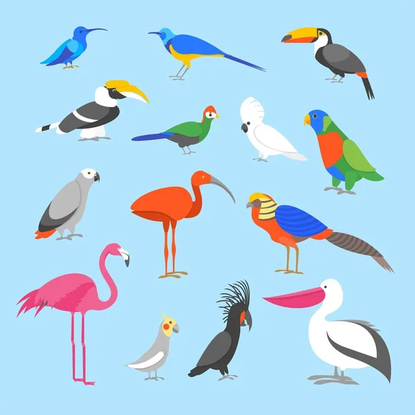 Dibujos animados color exótico pájaro icono conjunto. Vector — Archivo Imágenes Vectoriales
