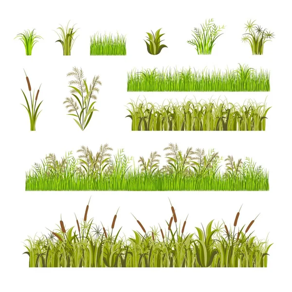 Yeşil çim beyaz bir arka plan üzerinde izole dekor öğeleri ayarlayın. Vektör — Stok Vektör