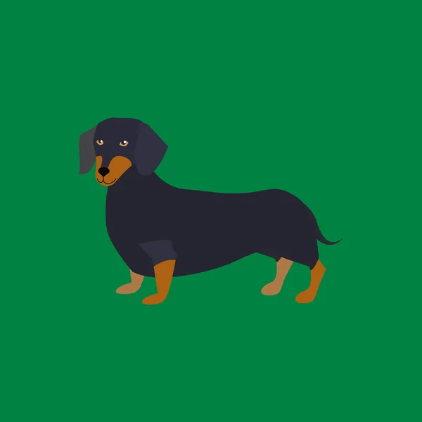 Cartoon Funny Dachshund razza di cane. Vettore — Vettoriale Stock