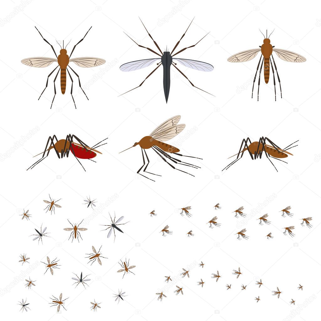Cartoon Color Different Mosquito Icon Set. Vector
