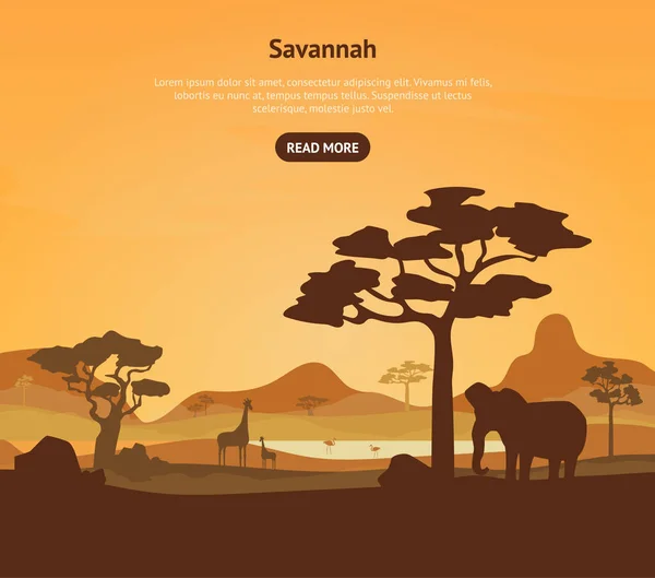 Cartaz de Savannah Africano de desenhos animados e texto. Vetor — Vetor de Stock