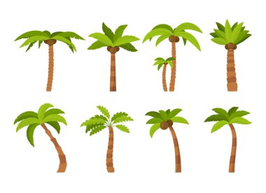 Çizgi film renk Palma ağaç Icon Set. Vektör