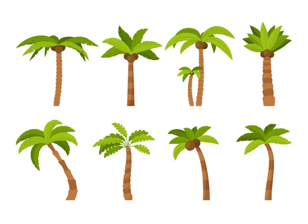 Cartoon Color Palma Tree Icon Set. Vecteur — Image vectorielle