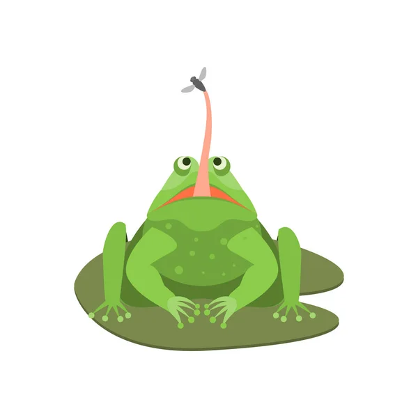 Carácter de rana verde lindo de dibujos animados con insecto. Vector — Archivo Imágenes Vectoriales