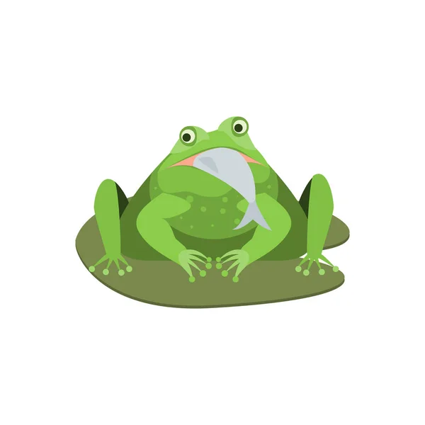 Cartone animato Carino verde rana personaggio con pesce. Vettore — Vettoriale Stock