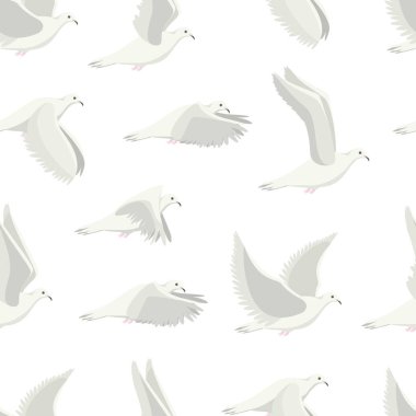 Çizgi film beyaz kuş Dikişsiz desen arka plan güvercin. Vektör