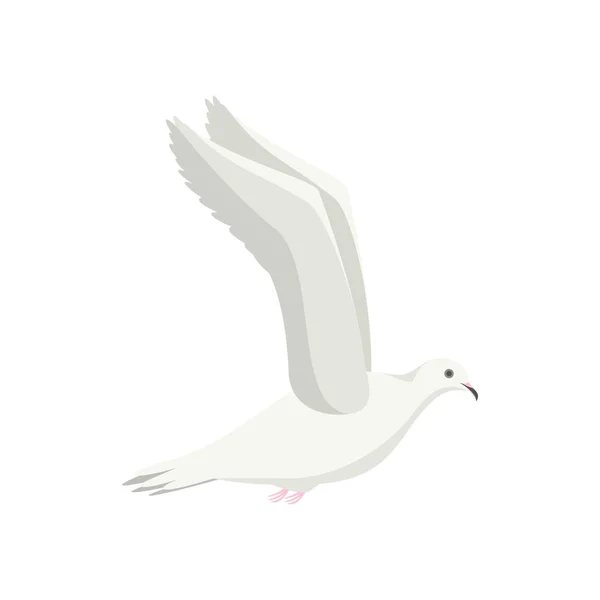 飛ぶ鳩鳥横に白を漫画します。ベクトル — ストックベクタ