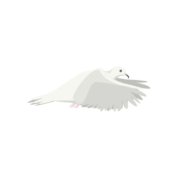 Desenhos animados White Flying Dove Bird Sideways. Vetor — Vetor de Stock