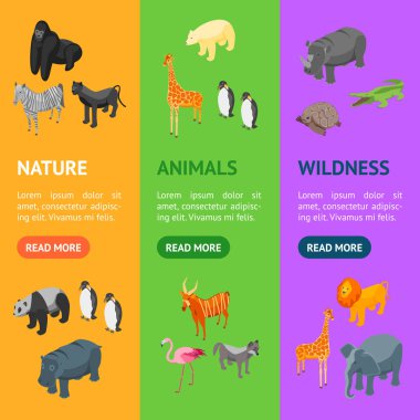 Vahşi hayvanlar 3d afiş Vecrtical Set izometrik görünümü. Vektör