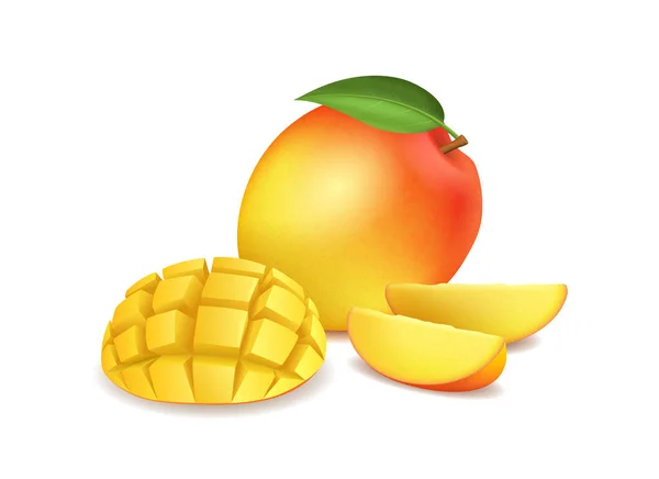 Realistische detaillierte 3D ganze Mango und in Scheiben geschnitten. Vektor — Stockvektor