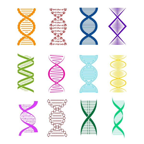 Silhouette DNA Color Icon Set Diferentes tipos. Vector — Archivo Imágenes Vectoriales