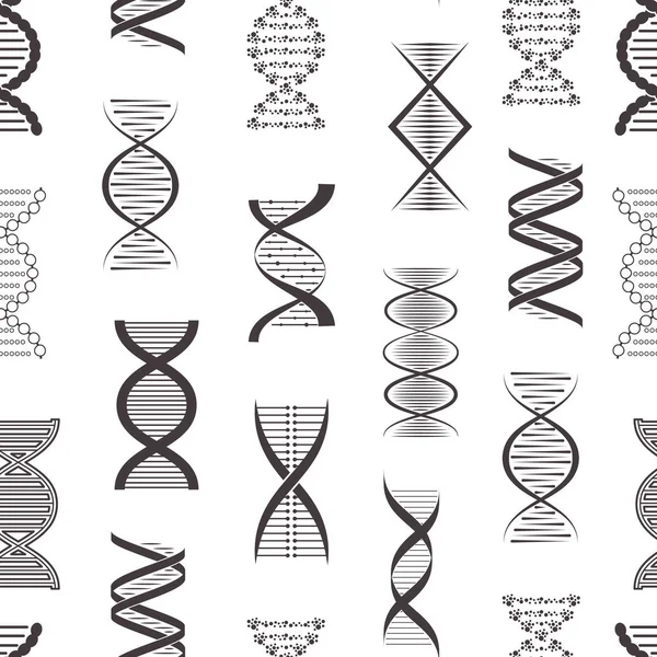 Silhouette DNA Seamless Pattern Fondo Diferentes tipos. Vector — Archivo Imágenes Vectoriales