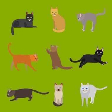 Çizgi film farklı türleri sevimli kediler karakterleri simge seti. Vektör