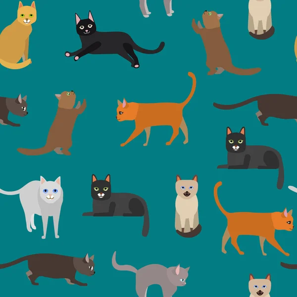 Kreskówka różnych typów słodkie koty znaków wzór tła. Wektor — Wektor stockowy
