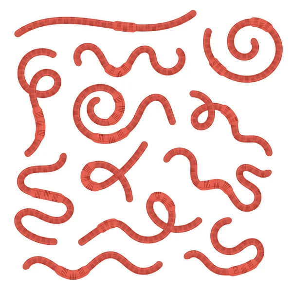 Desenhos animados Terra Red Worms Icon Set. Vetor —  Vetores de Stock